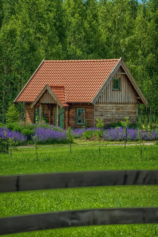 Zielone Lawki Villa Ryn  Ngoại thất bức ảnh