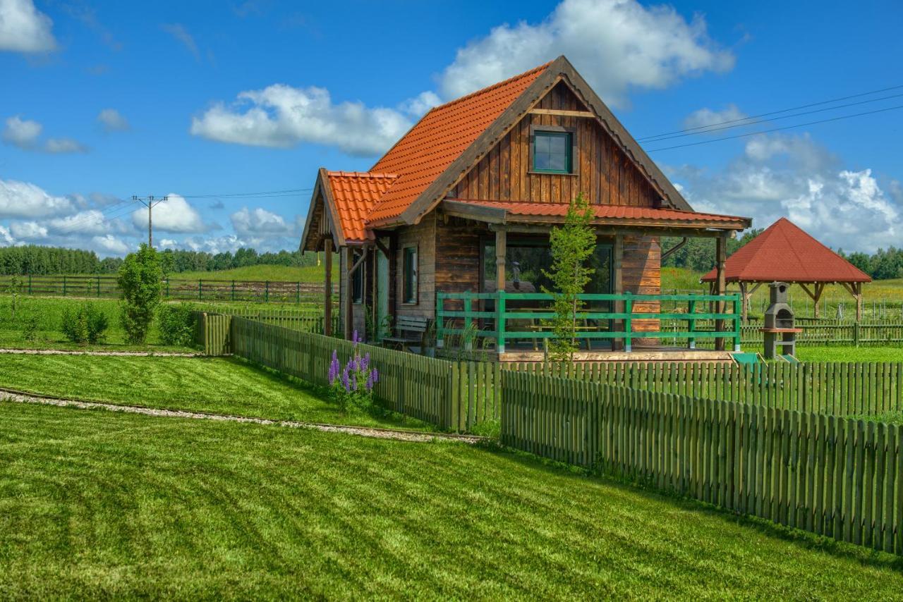 Zielone Lawki Villa Ryn  Ngoại thất bức ảnh